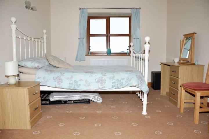Aberystwyth Cottages - Dinas 外观 照片